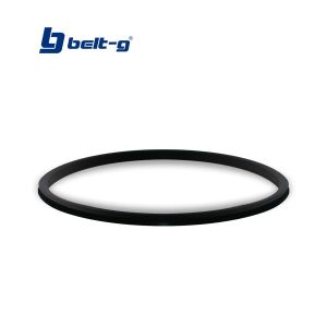 Empacadura original para filtro modelo 10" Belt-g